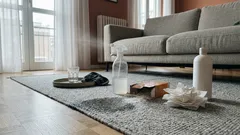 Perché l’odore di pipì torna sul tappeto: il dettaglio che fa la differenza con aceto e bicarbonato